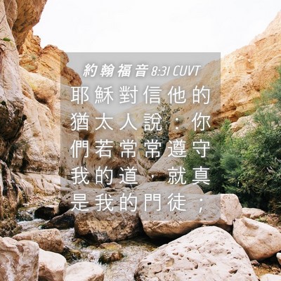 Picture 04 - 約 翰 福 音 8:31 CUVT - 耶 穌 對 信 他 的 猶 太 人 說 ： 你 - Bible Verse Picture