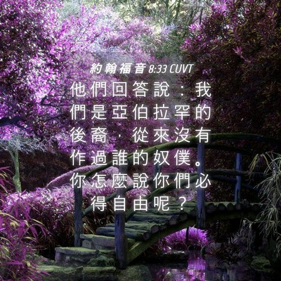 Picture 04 - 約 翰 福 音 8:33 CUVT - 他 們 回 答 說 ： 我 們 是 亞 伯 拉 - Bible Verse Picture