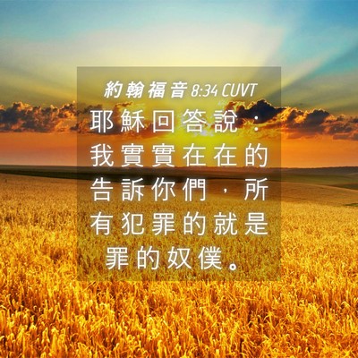 Picture 04 - 約 翰 福 音 8:34 CUVT - 耶 穌 回 答 說 ： 我 實 實 在 在 的 - Bible Verse Picture