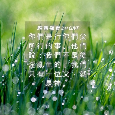 Picture 04 - 約 翰 福 音 8:41 CUVT - 你 們 是 行 你 們 父 所 行 的 事 。 - Bible Verse Picture