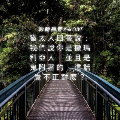 Picture 04 - 約 翰 福 音 8:48 CUVT - 猶 太 人 回 答 說 ： 我 們 說 你 是 - Bible Verse Picture