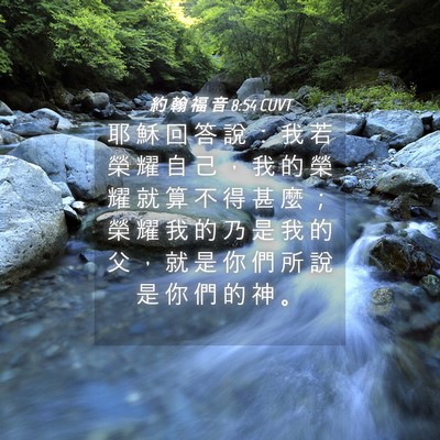 Picture 04 - 約 翰 福 音 8:54 CUVT - 耶 穌 回 答 說 ： 我 若 榮 耀 自 己 - Bible Verse Picture