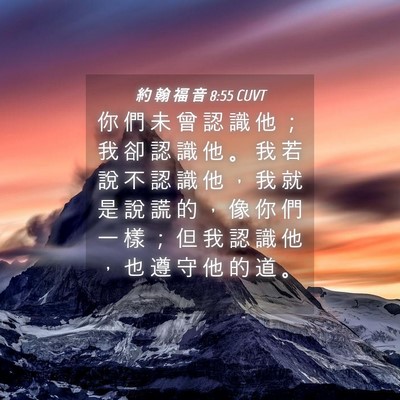 Picture 04 - 約 翰 福 音 8:55 CUVT - 你 們 未 曾 認 識 他 ； 我 卻 認 識 - Bible Verse Picture