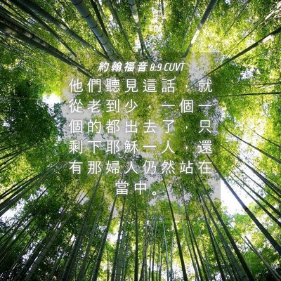 Picture 04 - 約 翰 福 音 8:9 CUVT - 他 們 聽 見 這 話 ， 就 從 老 到 少 - Bible Verse Picture