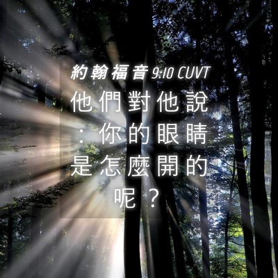 Picture 04 - 約 翰 福 音 9:10 CUVT - 他 們 對 他 說 ： 你 的 眼 睛 是 怎 - Bible Verse Picture