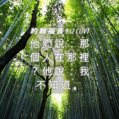 Picture 04 - 約 翰 福 音 9:12 CUVT - 他 們 說 ： 那 個 人 在 那 裡 ？ 他 - Bible Verse Picture