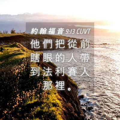 Picture 04 - 約 翰 福 音 9:13 CUVT - 他 們 把 從 前 瞎 眼 的 人 帶 到 法 - Bible Verse Picture