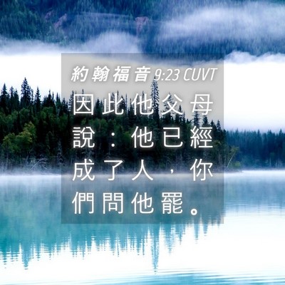 Picture 04 - 約 翰 福 音 9:23 CUVT - 因 此 他 父 母 說 ： 他 已 經 成 了 - Bible Verse Picture
