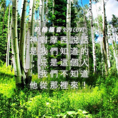 Picture 04 - 約 翰 福 音 9:29 CUVT - 神 對 摩 西 說 話 是 我 們 知 道 的 - Bible Verse Picture
