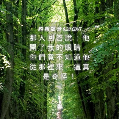 Picture 04 - 約 翰 福 音 9:30 CUVT - 那 人 回 答 說 ： 他 開 了 我 的 眼 - Bible Verse Picture
