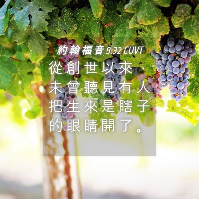 Picture 04 - 約 翰 福 音 9:32 CUVT - 從 創 世 以 來 ， 未 曾 聽 見 有 人 - Bible Verse Picture