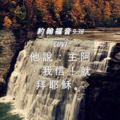 Picture 04 - 約 翰 福 音 9:38 CUVT - 他 說 ： 主 阿 ， 我 信 ！ 就 拜 耶 - Bible Verse Picture