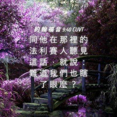Picture 04 - 約 翰 福 音 9:40 CUVT - 同 他 在 那 裡 的 法 利 賽 人 聽 見 - Bible Verse Picture