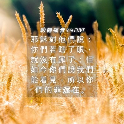 Picture 04 - 約 翰 福 音 9:41 CUVT - 耶 穌 對 他 們 說 ： 你 們 若 瞎 了 - Bible Verse Picture