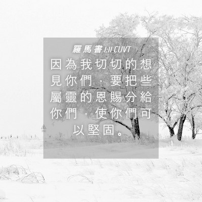 Picture 04 - 羅 馬 書 1:11 CUVT - 因 為 我 切 切 的 想 見 你 們 ， 要 - Bible Verse Picture