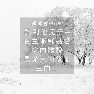 Picture 04 - 羅 馬 書 1:3 CUVT - 論 到 他 兒 子 ─ 我 主 耶 穌 基 督 - Bible Verse Picture