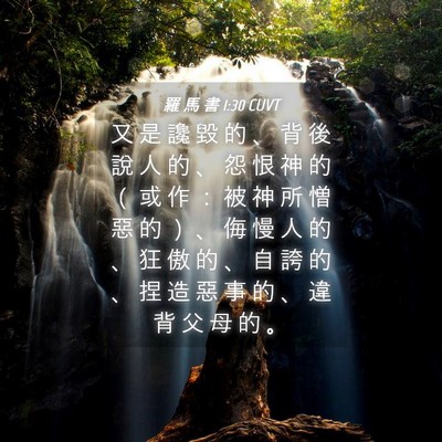 Picture 04 - 羅 馬 書 1:30 CUVT - 又 是 讒 毀 的 、 背 後 說 人 的 、 - Bible Verse Picture