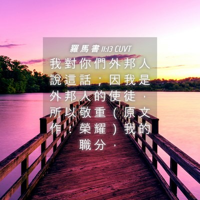 Picture 04 - 羅 馬 書 11:13 CUVT - 我 對 你 們 外 邦 人 說 這 話 ； 因 - Bible Verse Picture