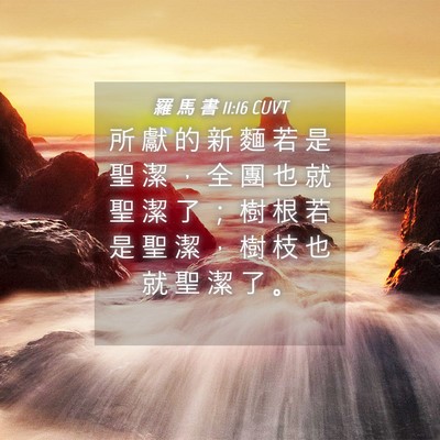 Picture 04 - 羅 馬 書 11:16 CUVT - 所 獻 的 新 麵 若 是 聖 潔 ， 全 團 - Bible Verse Picture