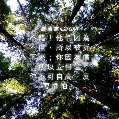 Picture 04 - 羅 馬 書 11:20 CUVT - 不 錯 ！ 他 們 因 為 不 信 ， 所 以 - Bible Verse Picture