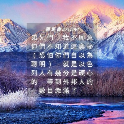Picture 04 - 羅 馬 書 11:25 CUVT - 弟 兄 們 ， 我 不 願 意 你 們 不 知 - Bible Verse Picture