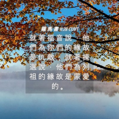 Picture 04 - 羅 馬 書 11:28 CUVT - 就 著 福 音 說 ， 他 們 為 你 們 的 - Bible Verse Picture