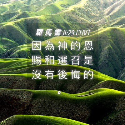 Picture 04 - 羅 馬 書 11:29 CUVT - 因 為 神 的 恩 賜 和 選 召 是 沒 有 - Bible Verse Picture