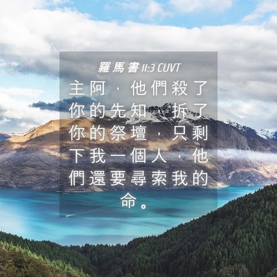 Picture 04 - 羅 馬 書 11:3 CUVT - 主 阿 ， 他 們 殺 了 你 的 先 知 ， - Bible Verse Picture
