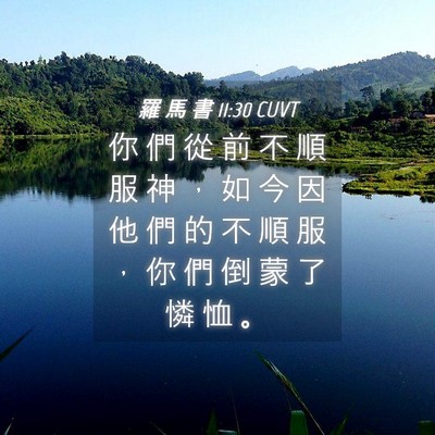 Picture 04 - 羅 馬 書 11:30 CUVT - 你 們 從 前 不 順 服 神 ， 如 今 因 - Bible Verse Picture