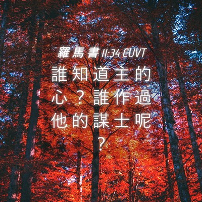 Picture 04 - 羅 馬 書 11:34 CUVT - 誰 知 道 主 的 心 ？ 誰 作 過 他 的 - Bible Verse Picture