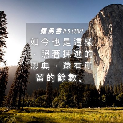 Picture 04 - 羅 馬 書 11:5 CUVT - 如 今 也 是 這 樣 ， 照 著 揀 選 的 - Bible Verse Picture