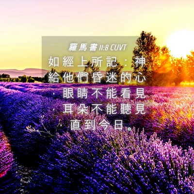 Picture 04 - 羅 馬 書 11:8 CUVT - 如 經 上 所 記 ： 神 給 他 們 昏 迷 - Bible Verse Picture