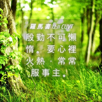 Picture 04 - 羅 馬 書 12:11 CUVT - 殷 勤 不 可 懶 惰 。 要 心 裡 火 熱 - Bible Verse Picture