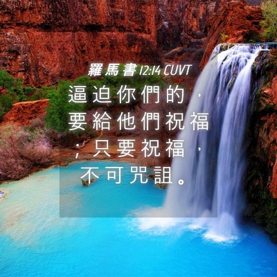 Picture 04 - 羅 馬 書 12:14 CUVT - 逼 迫 你 們 的 ， 要 給 他 們 祝 福 - Bible Verse Picture