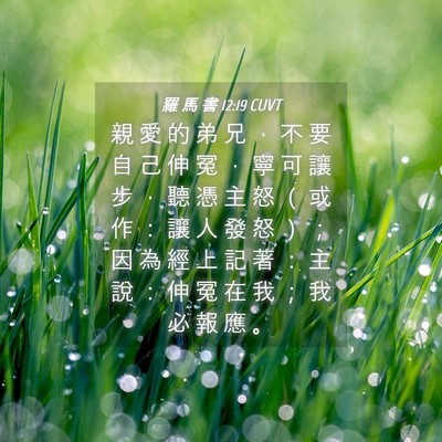 Picture 04 - 羅 馬 書 12:19 CUVT - 親 愛 的 弟 兄 ， 不 要 自 己 伸 冤 - Bible Verse Picture
