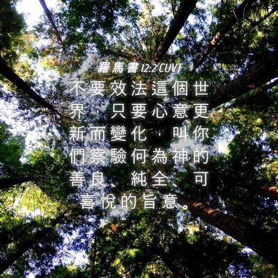 Picture 04 - 羅 馬 書 12:2 CUVT - 不 要 效 法 這 個 世 界 ， 只 要 心 - Bible Verse Picture