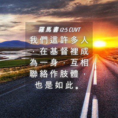 Picture 04 - 羅 馬 書 12:5 CUVT - 我 們 這 許 多 人 ， 在 基 督 裡 成 - Bible Verse Picture