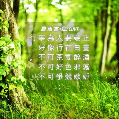 Picture 04 - 羅 馬 書 13:13 CUVT - 行 事 為 人 要 端 正 ， 好 像 行 在 - Bible Verse Picture