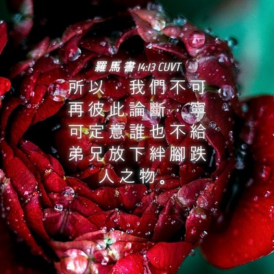 Picture 04 - 羅 馬 書 14:13 CUVT - 所 以 ， 我 們 不 可 再 彼 此 論 斷 - Bible Verse Picture