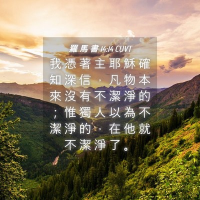 Picture 04 - 羅 馬 書 14:14 CUVT - 我 憑 著 主 耶 穌 確 知 深 信 ， 凡 - Bible Verse Picture