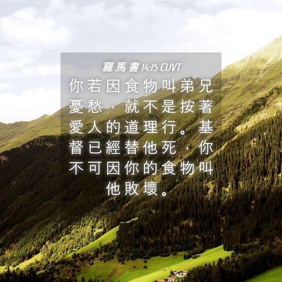 Picture 04 - 羅 馬 書 14:15 CUVT - 你 若 因 食 物 叫 弟 兄 憂 愁 ， 就 - Bible Verse Picture