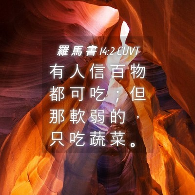 Picture 04 - 羅 馬 書 14:2 CUVT - 有 人 信 百 物 都 可 吃 ； 但 那 軟 - Bible Verse Picture