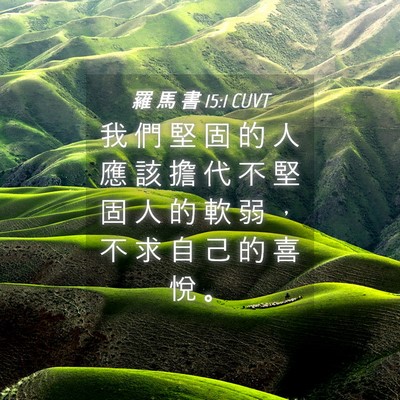 Picture 04 - 羅 馬 書 15:1 CUVT - 我 們 堅 固 的 人 應 該 擔 代 不 堅 - Bible Verse Picture