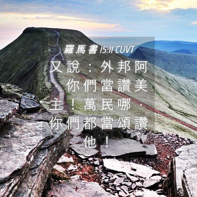Picture 04 - 羅 馬 書 15:11 CUVT - 又 說 ： 外 邦 阿 ， 你 們 當 讚 美 - Bible Verse Picture
