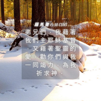 Picture 04 - 羅 馬 書 15:30 CUVT - 弟 兄 們 ， 我 藉 著 我 們 主 耶 穌 - Bible Verse Picture
