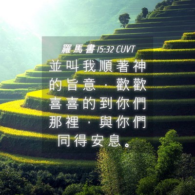 Picture 04 - 羅 馬 書 15:32 CUVT - 並 叫 我 順 著 神 的 旨 意 ， 歡 歡 - Bible Verse Picture