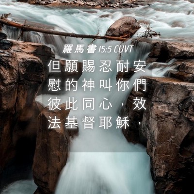Picture 04 - 羅 馬 書 15:5 CUVT - 但 願 賜 忍 耐 安 慰 的 神 叫 你 們 - Bible Verse Picture