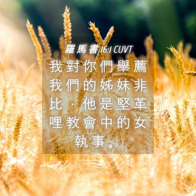 Picture 04 - 羅 馬 書 16:1 CUVT - 我 對 你 們 舉 薦 我 們 的 姊 妹 非 - Bible Verse Picture