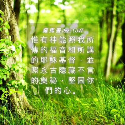 Picture 04 - 羅 馬 書 16:25 CUVT - 惟 有 神 能 照 我 所 傳 的 福 音 和 - Bible Verse Picture