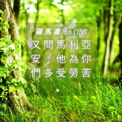 Picture 04 - 羅 馬 書 16:6 CUVT - 又 問 馬 利 亞 安 ； 他 為 你 們 多 - Bible Verse Picture